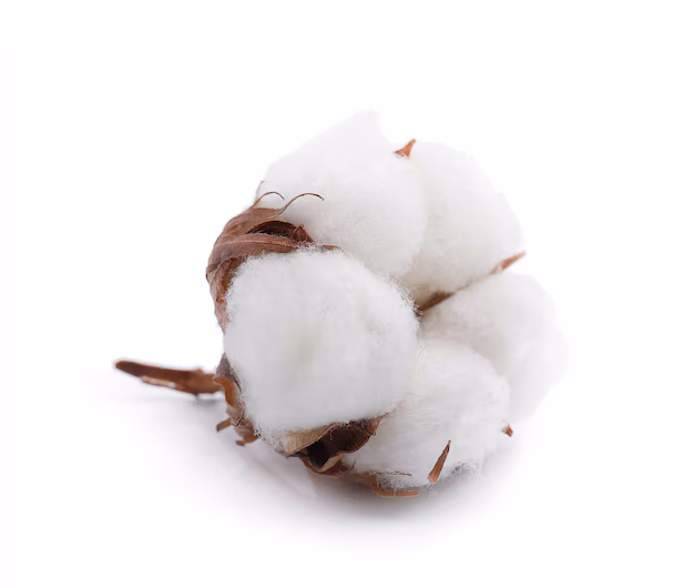 Papier, mouchoir et coton