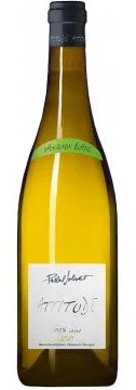 Sauvignon -Attitude- / Pascal Jolivet  - BIO -  2023 75cl